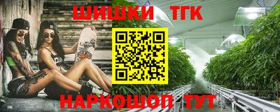 гашик Бийск