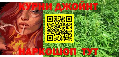 гашик Бийск