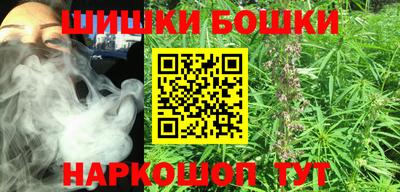 гашик Бийск