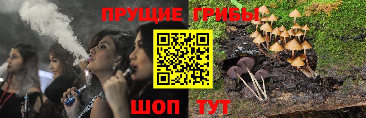 Псилоцибиновые грибы GOLDEN TEACHER  Псилоцибиновые грибы мицелий  Брянск  купить наркотик  Вход с VPN 