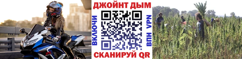 Каннабис OG Kush  купить   Брянск 